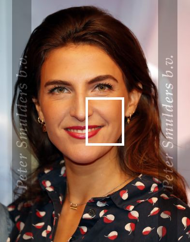 Amsterdam 17 december 2019
Premiere Starwars in het Amsterdam theater. Anna Gimbrere kwam met een goede vriend