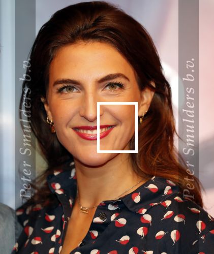Amsterdam 17 december 2019
Premiere Starwars in het Amsterdam theater. Anna Gimbrere kwam met een goede vriend