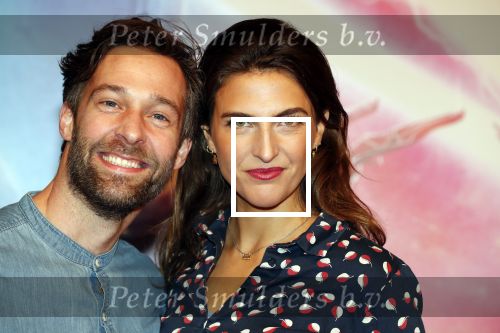 Amsterdam 17 december 2019
Premiere Starwars in het Amsterdam theater. Anna Gimbrere kwam met een goede vriend