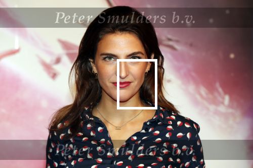 Amsterdam 17 december 2019
Premiere Starwars in het Amsterdam theater. Anna Gimbrere kwam met een goede vriend