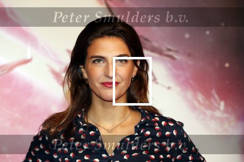 Amsterdam 17 december 2019
Premiere Starwars in het Amsterdam theater. Anna Gimbrere kwam met een goede vriend