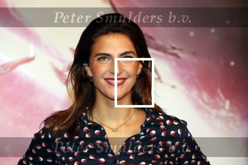Amsterdam 17 december 2019
Premiere Starwars in het Amsterdam theater. Anna Gimbrere kwam met een goede vriend