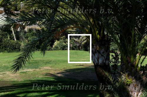 Altea, 4 Januari 2020
Altea Club de Golf