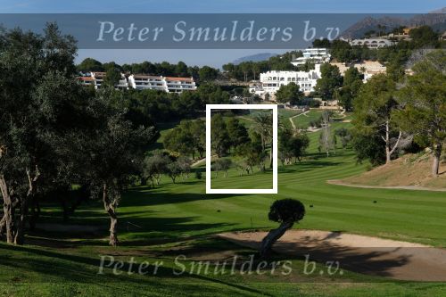 Altea, 4 Januari 2020
Altea Club de Golf
