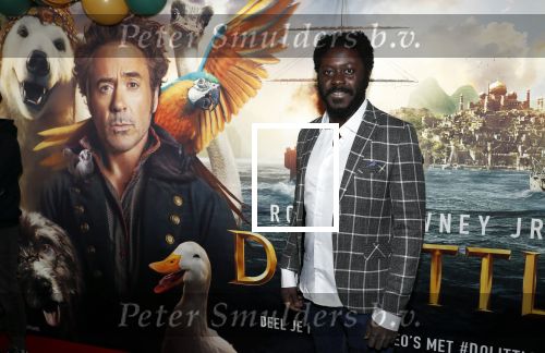 Amsterdam 12 januari 2020
Premiere Dolittle in pathe Arena. Andre Dongelmans