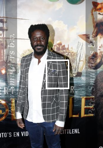 Amsterdam 12 januari 2020
Premiere Dolittle in pathe Arena. Andre Dongelmans