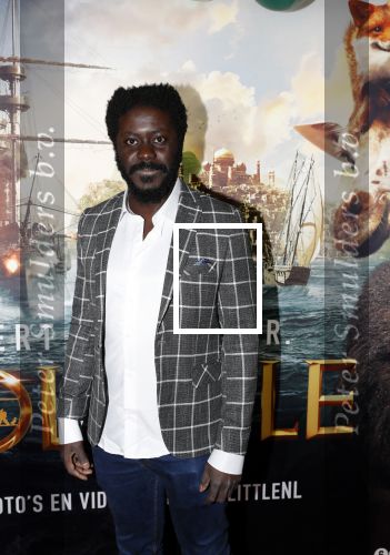 Amsterdam 12 januari 2020
Premiere Dolittle in pathe Arena. Andre Dongelmans