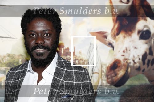 Amsterdam 12 januari 2020
Premiere Dolittle in pathe Arena. Andre Dongelmans