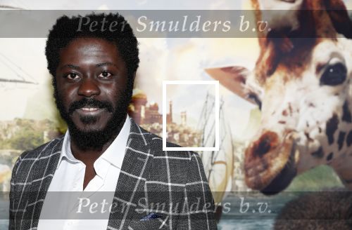 Amsterdam 12 januari 2020
Premiere Dolittle in pathe Arena. Andre Dongelmans