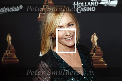 Amsterdam 22 januari 2020
Musicalgala in de Rai. Angela Groothuizen