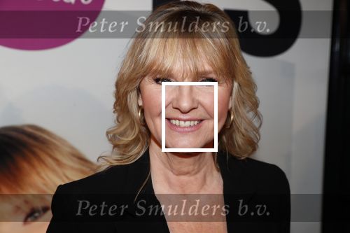 Amsterdam 29 januari 2020
Persconferentie Dolly Dots tour 2020, Angela Kramers, Angela Groothuizen, Anita Heilker, Esther Oosterbeek en Patty Zomer. Erik van der Hoff presentert het.