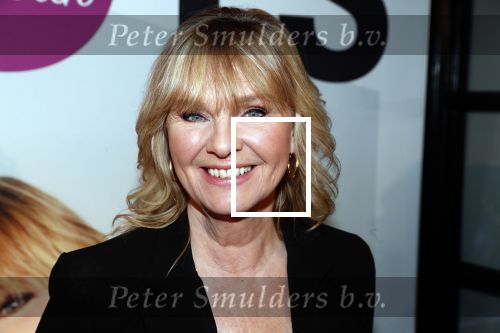 Amsterdam 29 januari 2020
Persconferentie Dolly Dots tour 2020, Angela Kramers, Angela Groothuizen, Anita Heilker, Esther Oosterbeek en Patty Zomer. Erik van der Hoff presentert het.