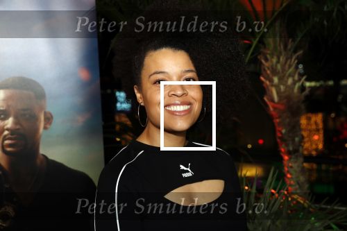 Amsterdam 20 januari 2020
Premiere Bad Boys for life in pathe Arena. Angelique Houtveen met partner