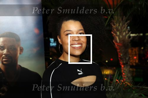 Amsterdam 20 januari 2020
Premiere Bad Boys for life in pathe Arena. Angelique Houtveen met partner