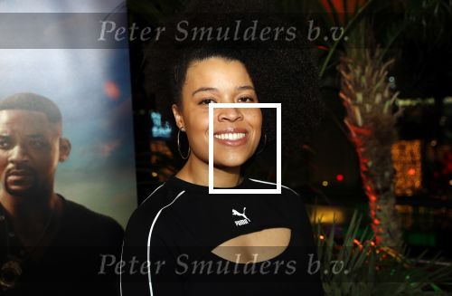 Amsterdam 20 januari 2020
Premiere Bad Boys for life in pathe Arena. Angelique Houtveen met partner