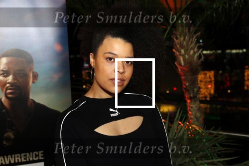 Amsterdam 20 januari 2020
Premiere Bad Boys for life in pathe Arena. Angelique Houtveen met partner