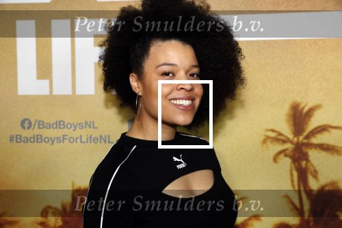 Amsterdam 20 januari 2020
Premiere Bad Boys for life in pathe Arena. Angelique Houtveen met partner