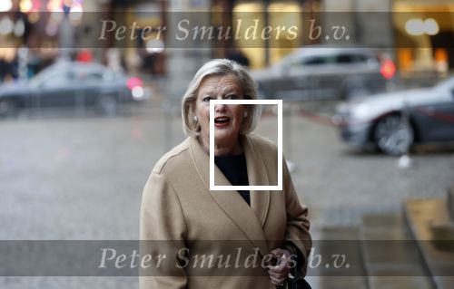 Amsterdam 14 januari 2020
Nieuwjaarsreceptie van Koningin Maxima en Koning Willem Alexander in het paleis op de dam.  Ankie Broeker