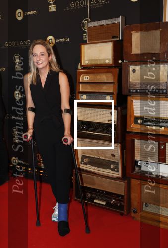 Hilversum 30 januari 2020
Radioring gala in theater gooiland .
Annemarie Roozing