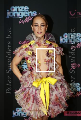 Amsterdam 27 januari 2020
Premiere Onze Jongens in Miami in Tuschinski. Anouk Maas