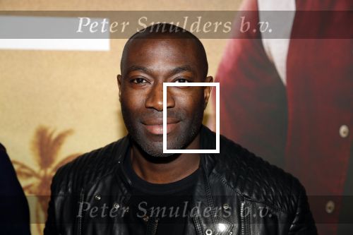 Amsterdam 20 januari 2020
Premiere Bad Boys for life in pathe Arena.