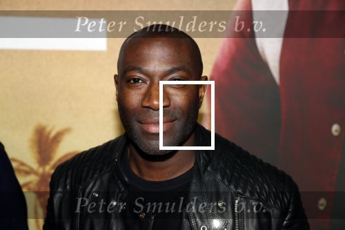Amsterdam 20 januari 2020
Premiere Bad Boys for life in pathe Arena.