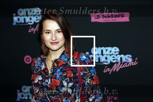 Amsterdam 27 januari 2020
Premiere Onze Jongens in Miami in Tuschinski. Barbara Sloesen met â€¦