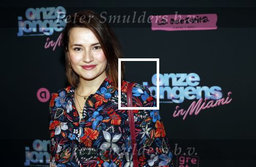 Amsterdam 27 januari 2020
Premiere Onze Jongens in Miami in Tuschinski. Barbara Sloesen met â€¦