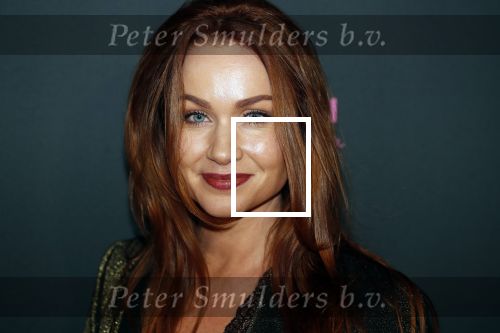 Amsterdam 27 januari 2020
Premiere Onze Jongens in Miami in Tuschinski. Bertrie Wierenga