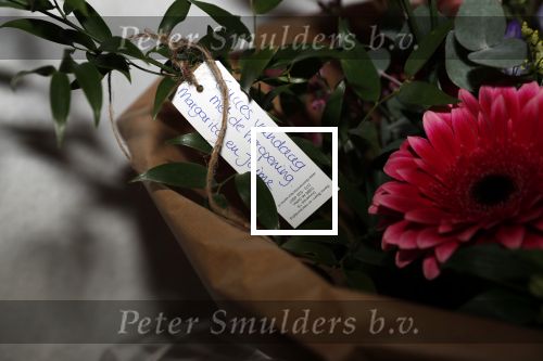 Nuland 28 januari 2020
Opening nieuwe winkel Addy v d Krommenacker in Villa Maasdonk. Addy kreeg bloemen van prinses Margarita en prins Jaime