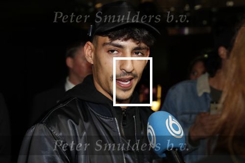 Amsterdam 20 januari 2020
Premiere Bad Boys for life in pathe Arena. Boef