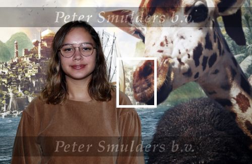 Amsterdam 12 januari 2020
Premiere Dolittle in pathe Arena. Brigit Kunstt