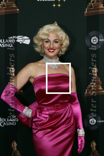 Amsterdam 22 januari 2020
Musicalgala in de Rai. Brigitte Heitzer