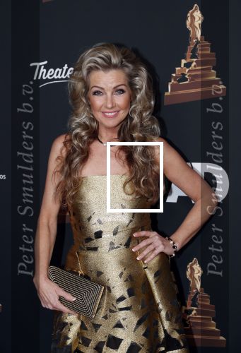 Amsterdam 22 januari 2020
Musicalgala in de Rai. Brigitte Nijman kwam met een kennis