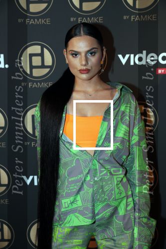 Amsterdam 9 januari 2020
Presentatie Bontgirl ( Videoland) van Famke Louise bij westergasfabriek.