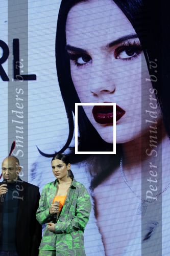 Amsterdam 9 januari 2020
Presentatie Bontgirl ( Videoland) van Famke Louise bij westergasfabriek.