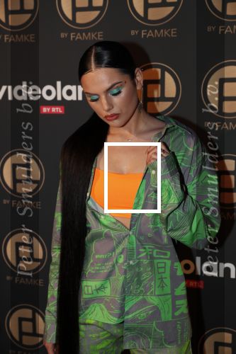Amsterdam 9 januari 2020
Presentatie Bontgirl ( Videoland) van Famke Louise bij westergasfabriek.