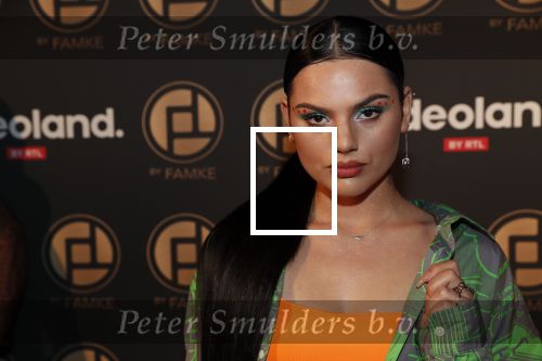 Amsterdam 9 januari 2020
Presentatie Bontgirl ( Videoland) van Famke Louise bij westergasfabriek.