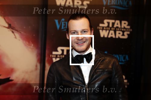Amsterdam 17 december 2019
Premiere Starwars in het Amsterdam theater. Guido Spek