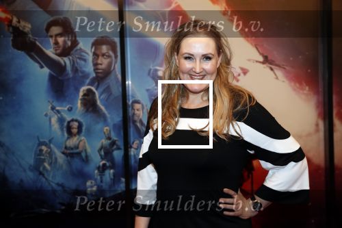Amsterdam 17 december 2019
Premiere Starwars in het Amsterdam theater. Hannelore Zwitserlood
