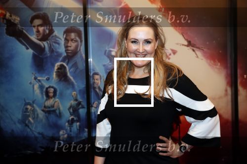Amsterdam 17 december 2019
Premiere Starwars in het Amsterdam theater. Hannelore Zwitserlood