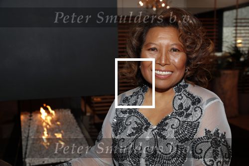 Den Haag 16 december 2019
De society lunch in hotel crown plaza .
Justine Pelmelay
