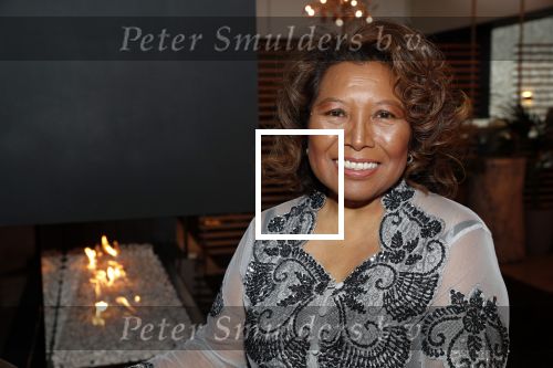 Den Haag 16 december 2019
De society lunch in hotel crown plaza .
Justine Pelmelay