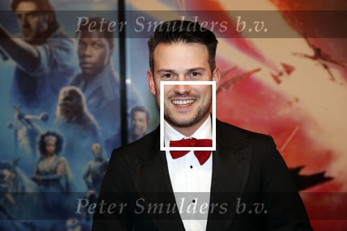 Amsterdam 17 december 2019
Premiere Starwars in het Amsterdam theater.
Levi v kempen