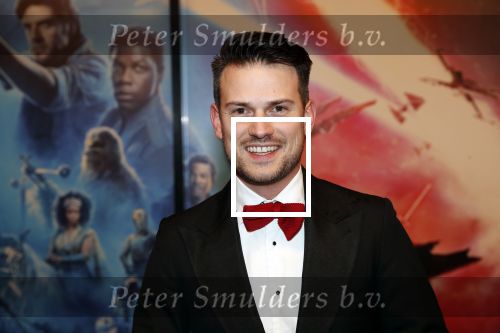 Amsterdam 17 december 2019
Premiere Starwars in het Amsterdam theater.
Levi v kempen