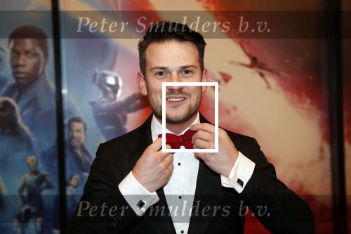 Amsterdam 17 december 2019
Premiere Starwars in het Amsterdam theater.
Levi v kempen