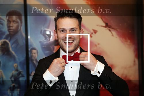 Amsterdam 17 december 2019
Premiere Starwars in het Amsterdam theater.
Levi v kempen