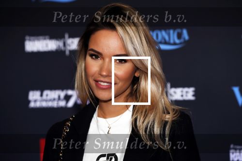 Arnhem 21 december 2019
Badr Hari versus Rico Verhoeven in het geldredome. Monica Geuze kwam met Kaj G Gorgels