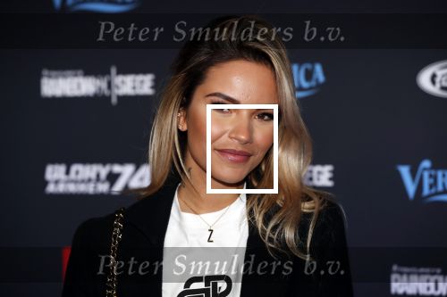 Arnhem 21 december 2019
Badr Hari versus Rico Verhoeven in het geldredome. Monica Geuze kwam met Kaj G Gorgels