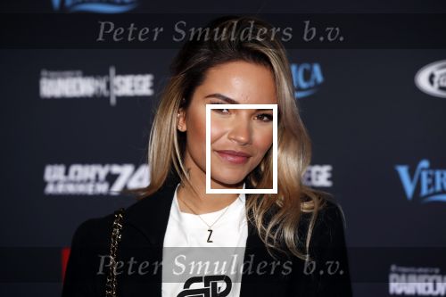 Arnhem 21 december 2019
Badr Hari versus Rico Verhoeven in het geldredome. Monica Geuze kwam met Kaj G Gorgels